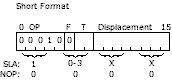 Short and Long format of instruction